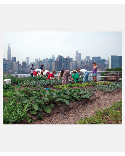 Bedre byskik - demokratisering - fællesskab - bæredygtighed